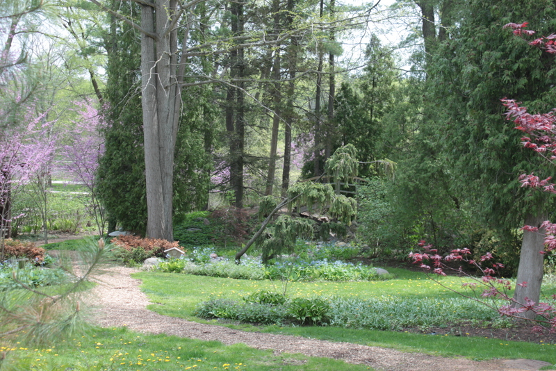 Fabyan Forest Preserve 2 - Renato Jocson